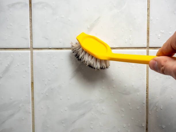 Best Home Mold Removal  in Lake Royale, NC