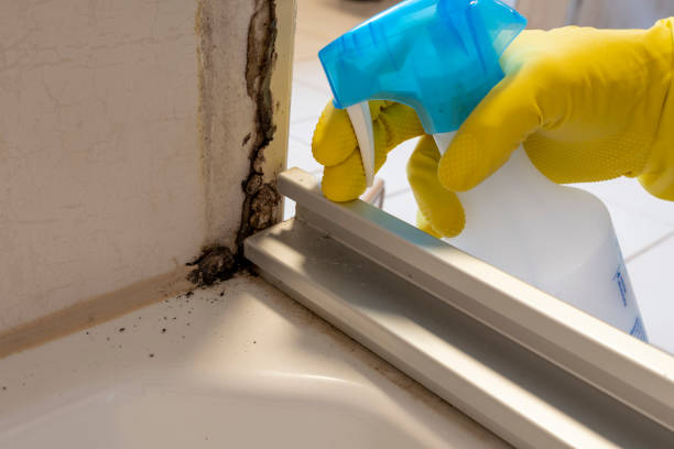 Best Crawl Space Mold Removal  in Lake Royale, NC