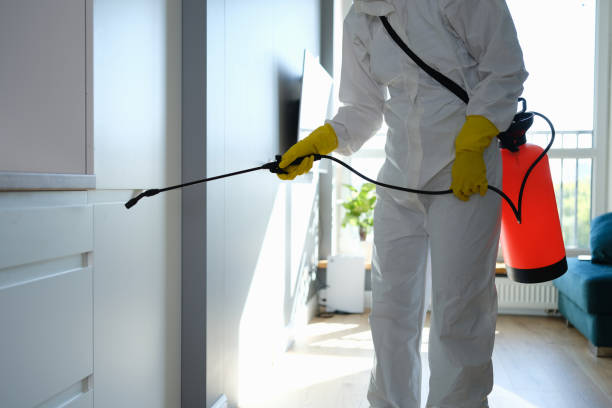 Best Same-Day Mold Removal  in Lake Royale, NC