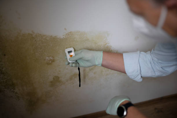 Best Mold Testing  in Lake Royale, NC