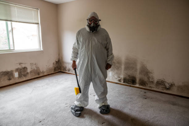 Best Attic Mold Removal  in Lake Royale, NC